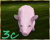 [3c] Baby Pig