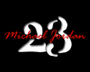 Michael Jordan Pool Tabl