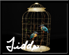 Kingfisher Birds in Cage