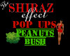 Pop Up Bush Peanuts