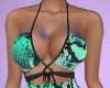 RLL Snake Turquoise