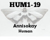 Annisokay Human