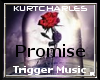 KC-DJ Music-Promise