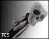 Skeleton cane