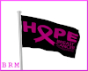 (BRM) BC Hope Flag