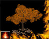 HF Sardar Tree-Fall