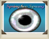 Spring Eyes Pastel1