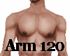 Arm Scaler 120 M/F