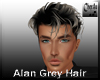 Alan Grey Hair
