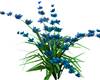 (TBB) Flowers Blue