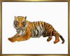 Tiger Cuddle