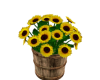Decorative Sunflowers