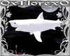 dj light white shark
