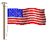Ani* USA Flag