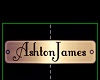 AshtonJames Plate Chain