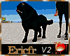 [Efr] Black Dog Anim