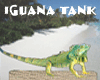 Green Iguana Tank
