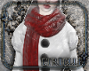 Snowgirl Scarf