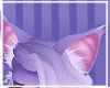 Misty- cat ears
