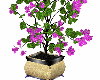 Floral Purple Gold Plant