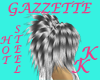 (KK)GAZZETTE HOT STEEL