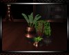 *Fallin Plant 4