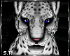 ST: Sleek Snow Leopard