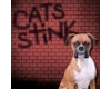 CATS STINK Boxer Sticker