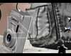 DW. Bag + Y2K Camera