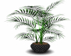 AwesomePlant