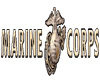 marine corps banner