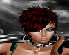 badcat red