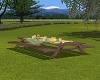 SUMMER COUNTRY PICNIC
