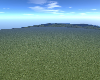 Open Field on a SunnyDay