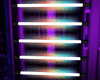 Neon Club lights