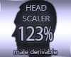 Head Resizer 123%
