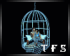 Hanging Cage Kiss  /W