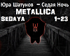 Metallica - Sedaya Noch