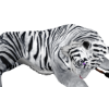 ☢ Tiger Brush White