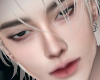 Lawin V.2