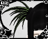 . black green pigtails