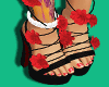 Raw B. Heels