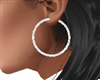 Earrings Silver Hoop