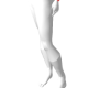 PUÃSERA D