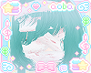 face bandages