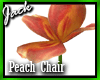 Peach Chair 2 Pose