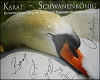 Karat - Schwanenkoenig