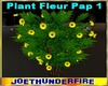 Flower Plant Pap V1