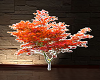3D Fall Maple Tree