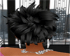 EVON BLACK HAIR